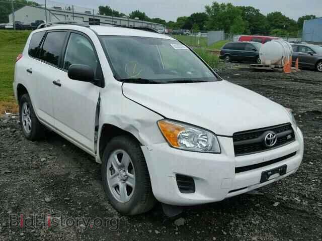 Фотография 2T3BK4DV5CW076345 - TOYOTA RAV4 2012