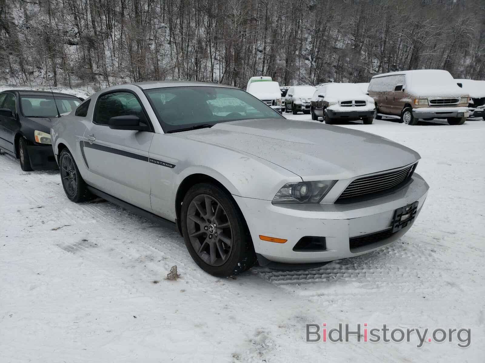 Photo 1ZVBP8AMXB5104390 - FORD MUSTANG 2011