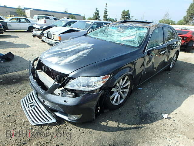 2010 LEXUS LS460 - VIN: JTHBL5EF3A5101126 - Фото 2