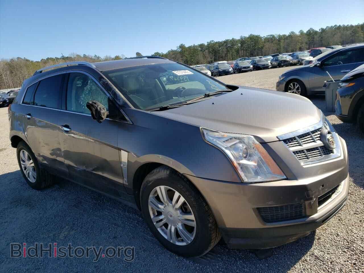 Фотография 3GYFNDE36CS509894 - CADILLAC SRX 2012