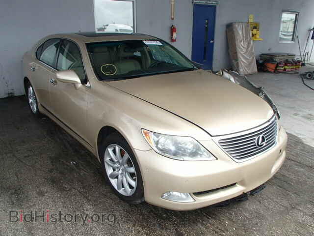 Фотография JTHBL46F295091404 - LEXUS LS460 2009