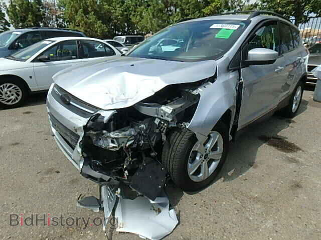 2013 FORD ESCAPE - VIN: 1FMCU0GX1DUC63189 - Фото 2