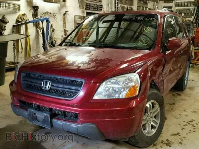 2005 HONDA PILOT - VIN: 2HKYF185X5H560366 - Фото 2