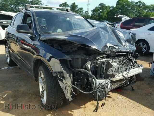 Фотография WA1MKAFP3AA055733 - AUDI Q5 2010