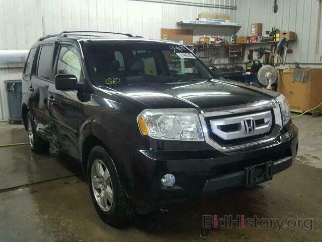 Photo 5FNYF4H41BB016325 - HONDA PILOT 2011