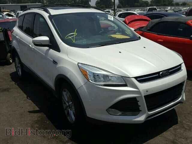Фотография 1FMCU0HXXDUA93932 - FORD ESCAPE 2013