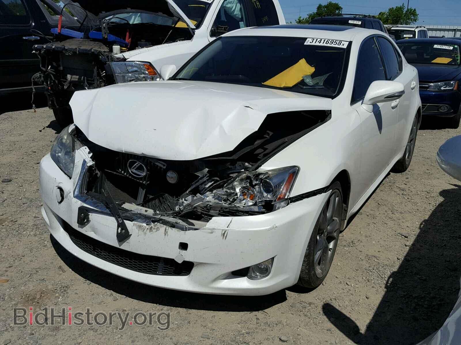 2010 LEXUS IS250 - VIN: JTHBF5C20A2098517 - Фото 2