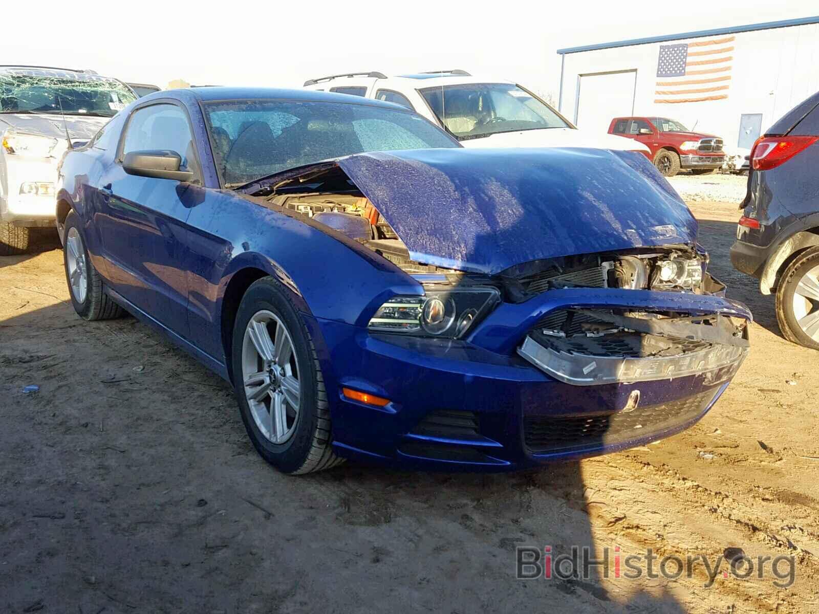 Photo 1ZVBP8AM1D5283311 - FORD MUSTANG 2013