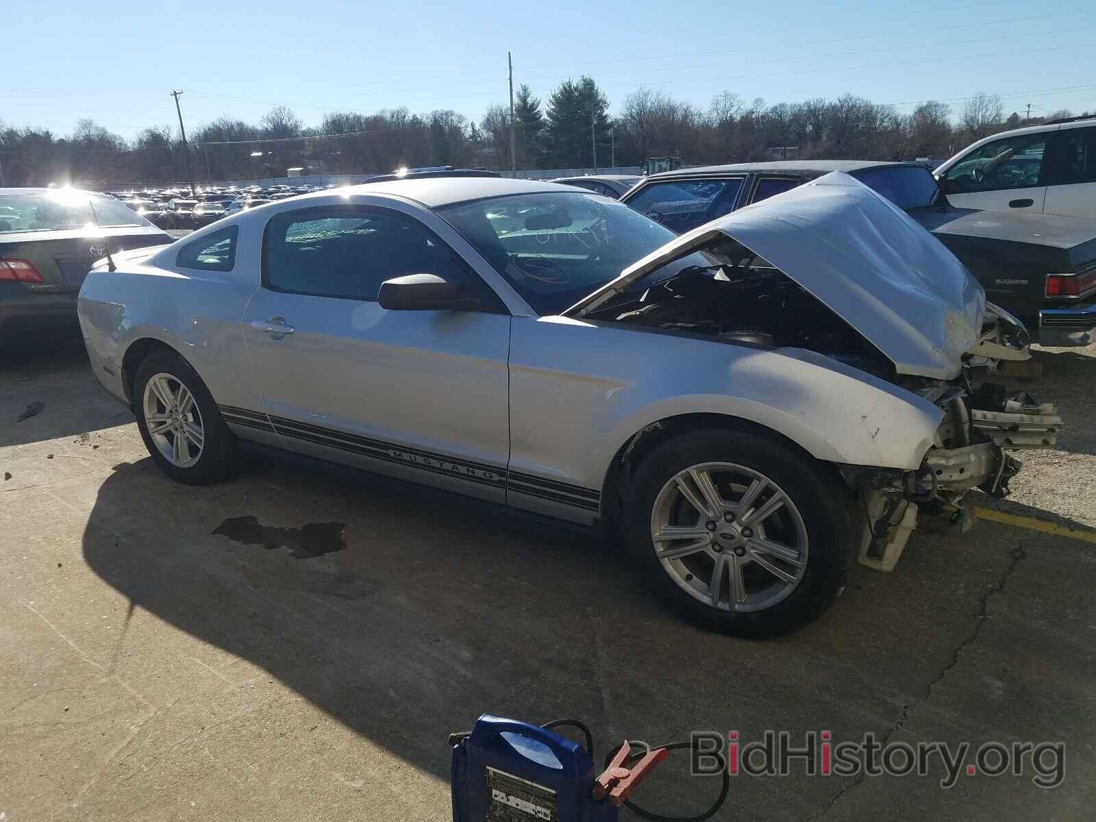 Photo 1ZVBP8AN2A5136855 - FORD MUSTANG 2010
