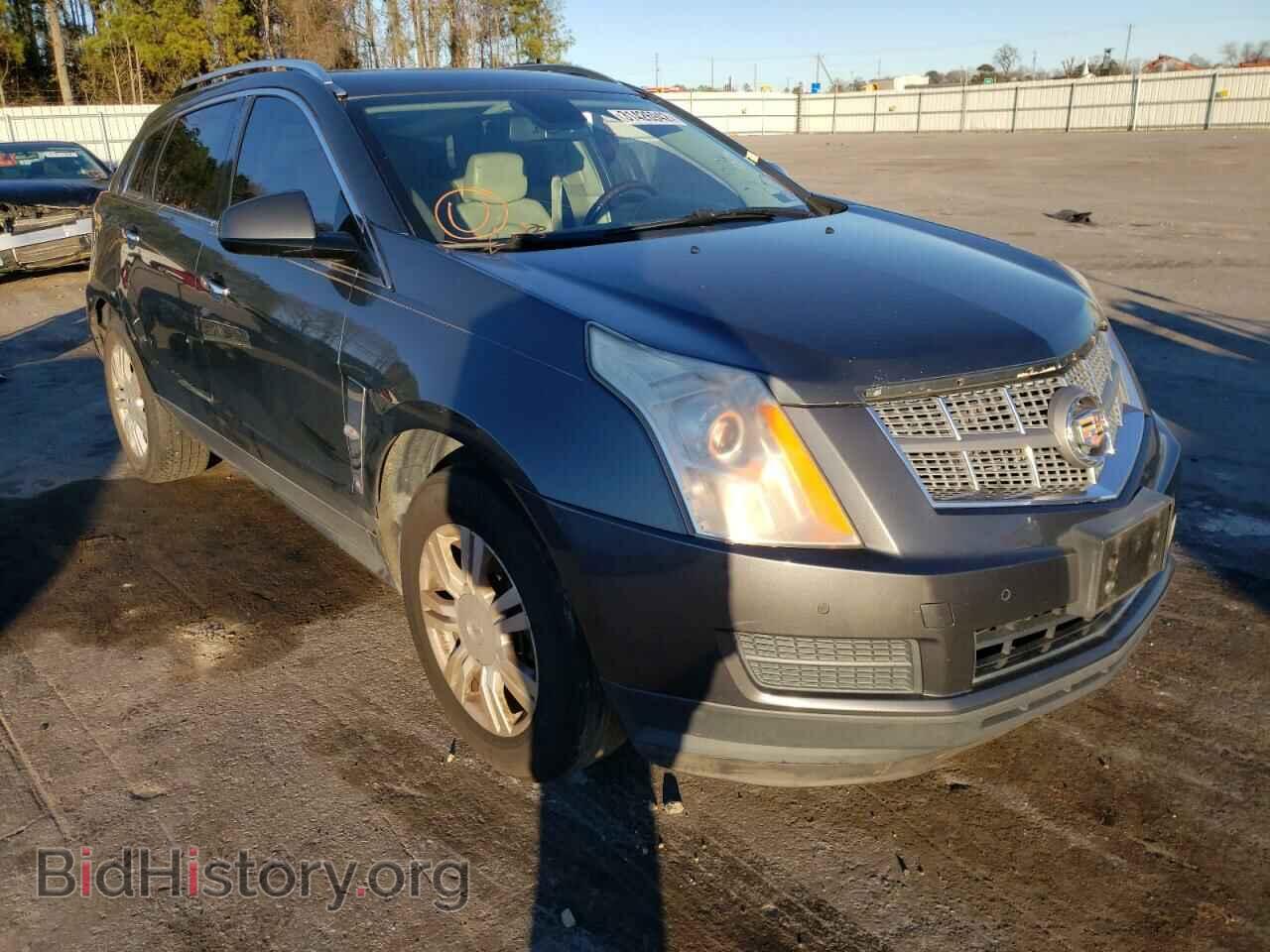 Photo 3GYFNDEY8BS545791 - CADILLAC SRX 2011