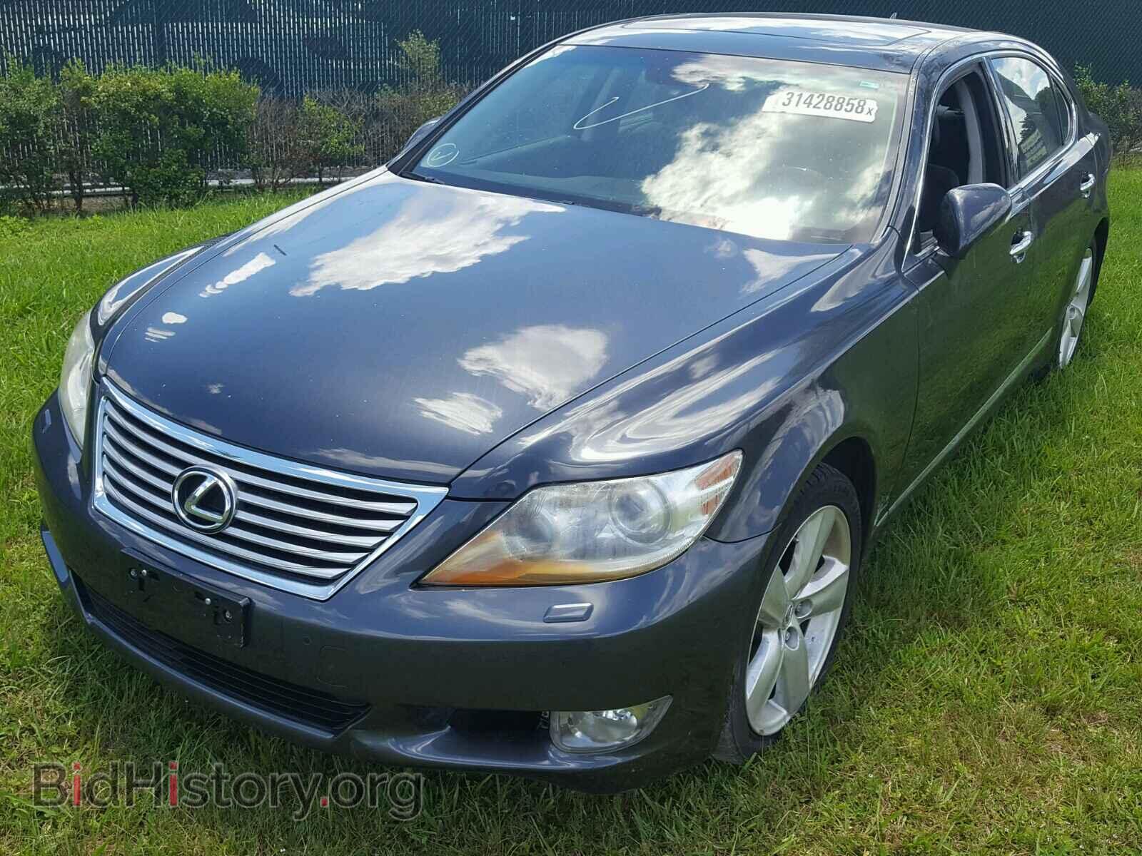 2011 LEXUS LS460 - VIN: JTHGL5EF5B5043074 - Фото 2