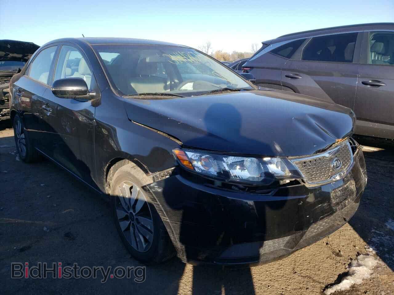 Фотография KNAFU4A27D5705051 - KIA FORTE 2013