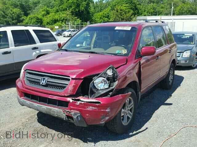 2005 HONDA PILOT - VIN: 5FNYF18565B054094 - Фото 2