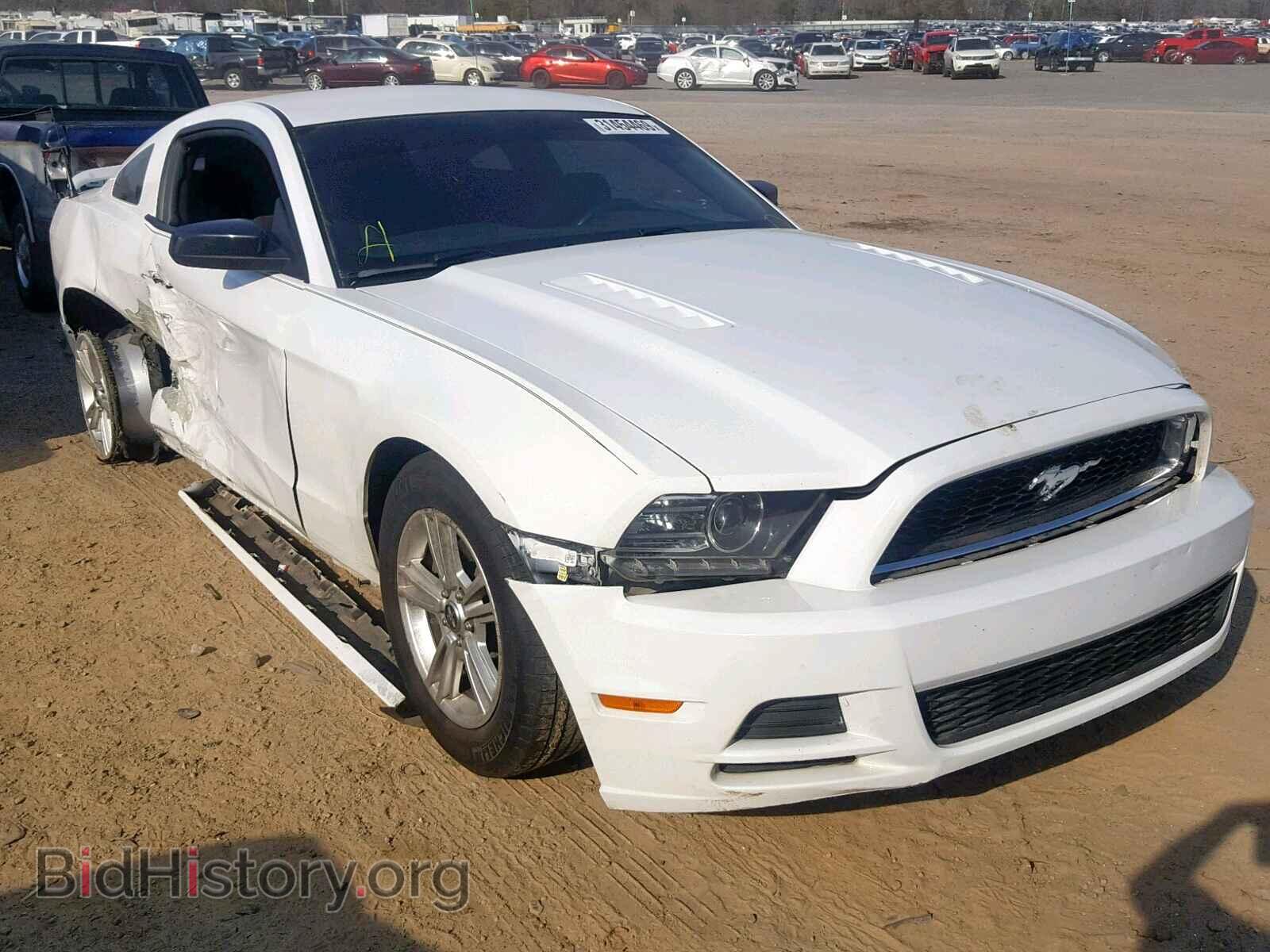 Фотография 1ZVBP8AM4E5261336 - FORD MUSTANG 2014