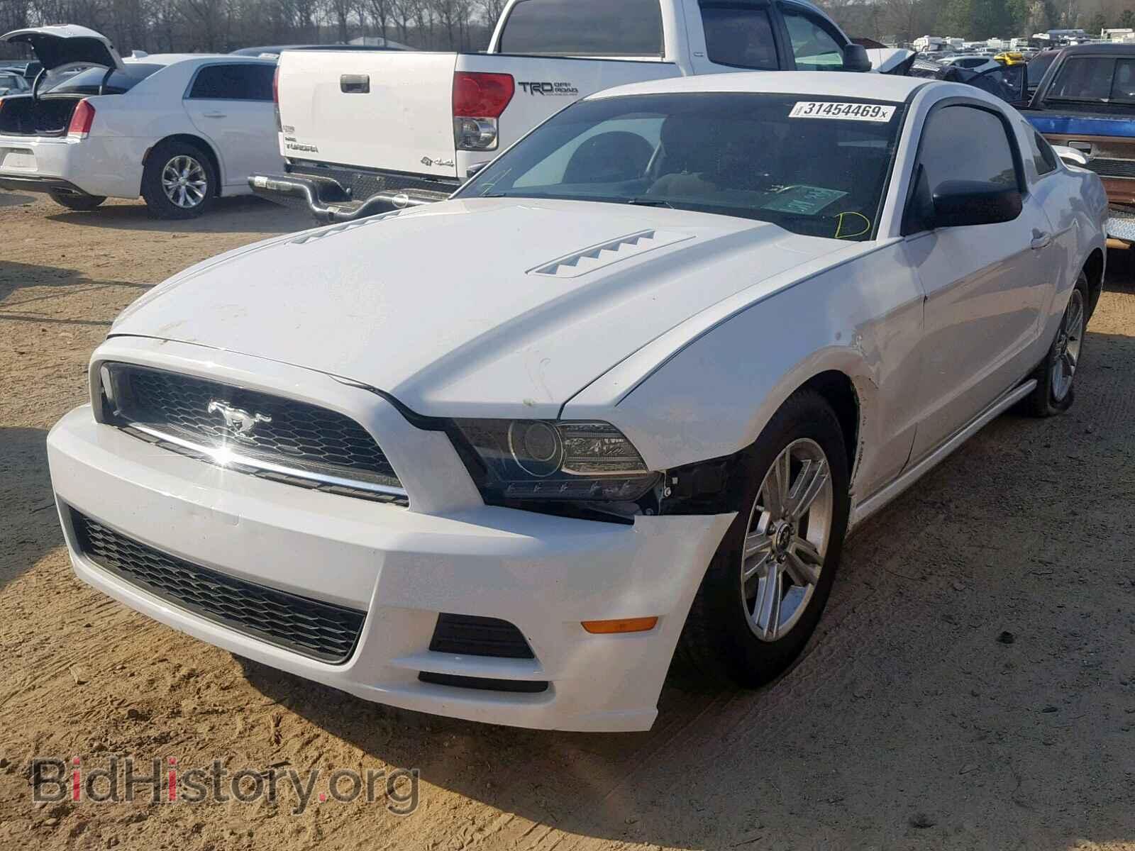 2014 FORD MUSTANG - VIN: 1ZVBP8AM4E5261336 - Фото 2