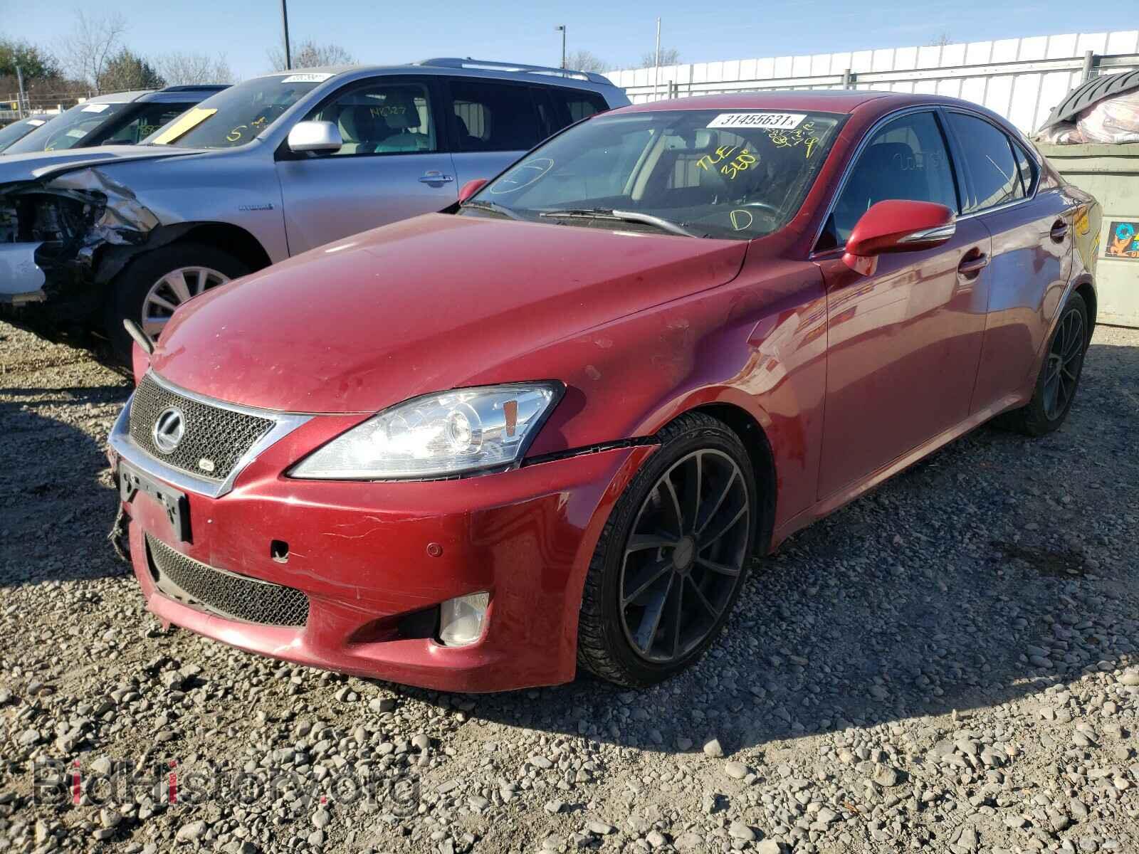 2009 LEXUS IS - VIN: JTHBK262592092570 - Фото 2