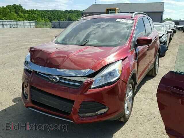 2014 FORD ESCAPE - VIN: 1FMCU0GX1EUD07953 - Фото 2