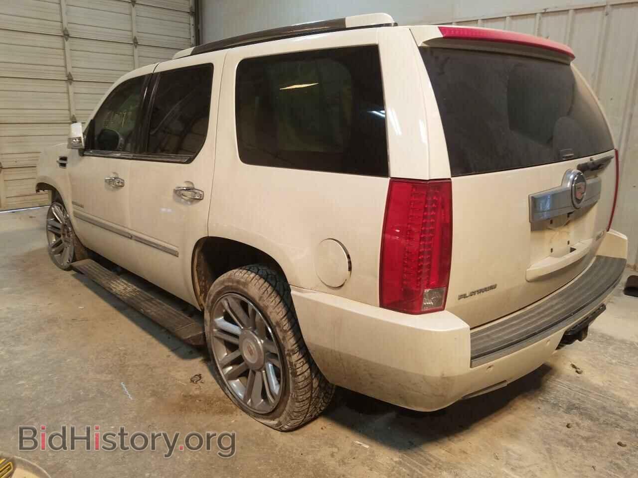 2013 CADILLAC ESCALADE - VIN: 1GYS4DEF5DR165734 - Фото 3