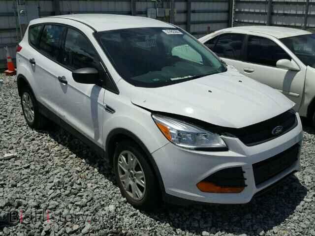 Фотография 1FMCU0F78EUC61023 - FORD ESCAPE 2014