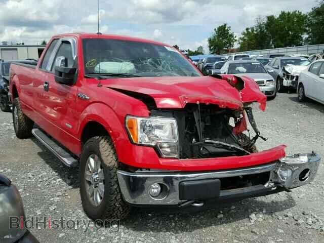 Фотография 1FTFX1ET7DKD87106 - FORD F150 2013