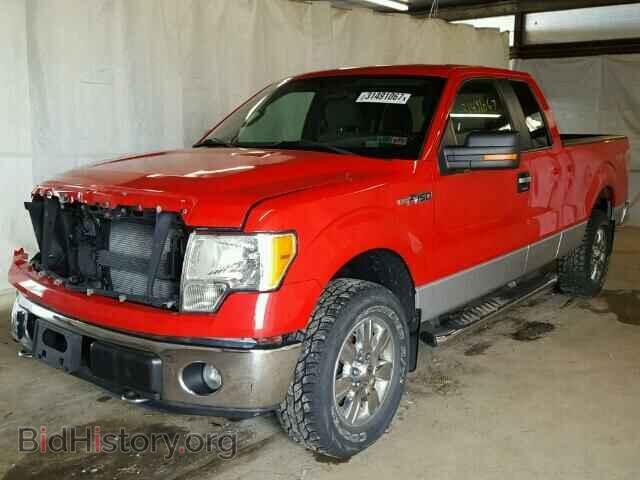 2011 FORD F150 - VIN: 1FTFX1EF1BFA37003 - Фото 2