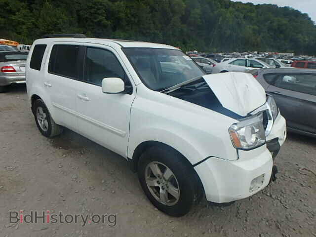 Фотография 5FNYF4H60BB096735 - HONDA PILOT 2011