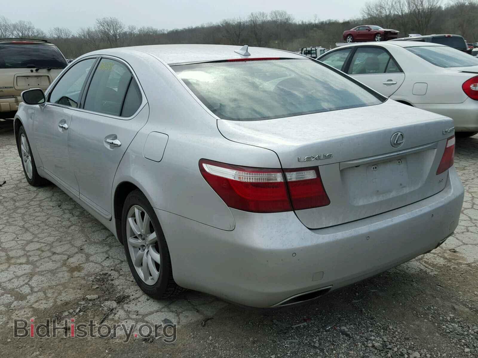 2009 LEXUS LS460 - VIN: JTHCL46F095000442 - Фото 3