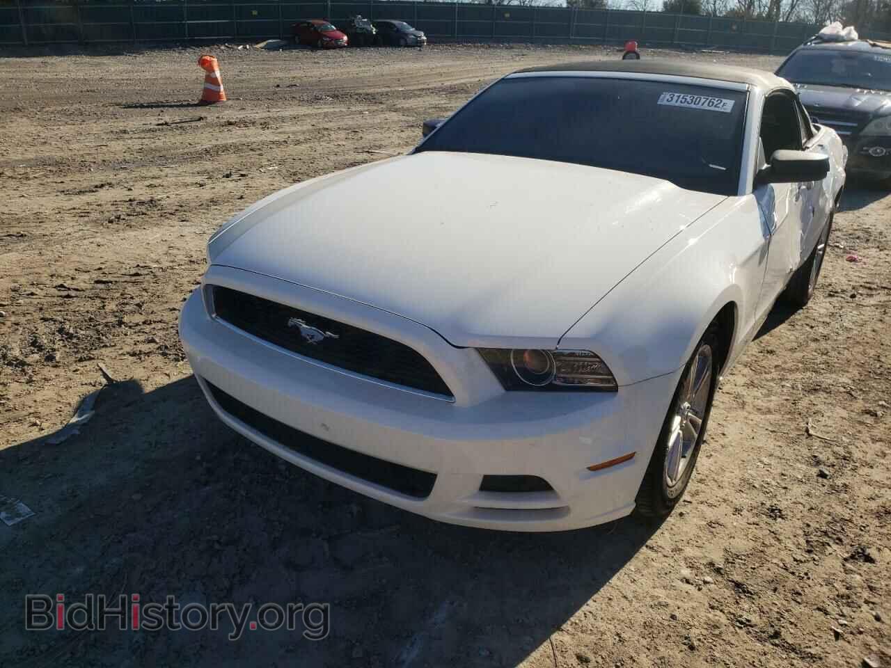 2013 FORD MUSTANG - VIN: 1ZVBP8EM0D5236779 - Фото 2