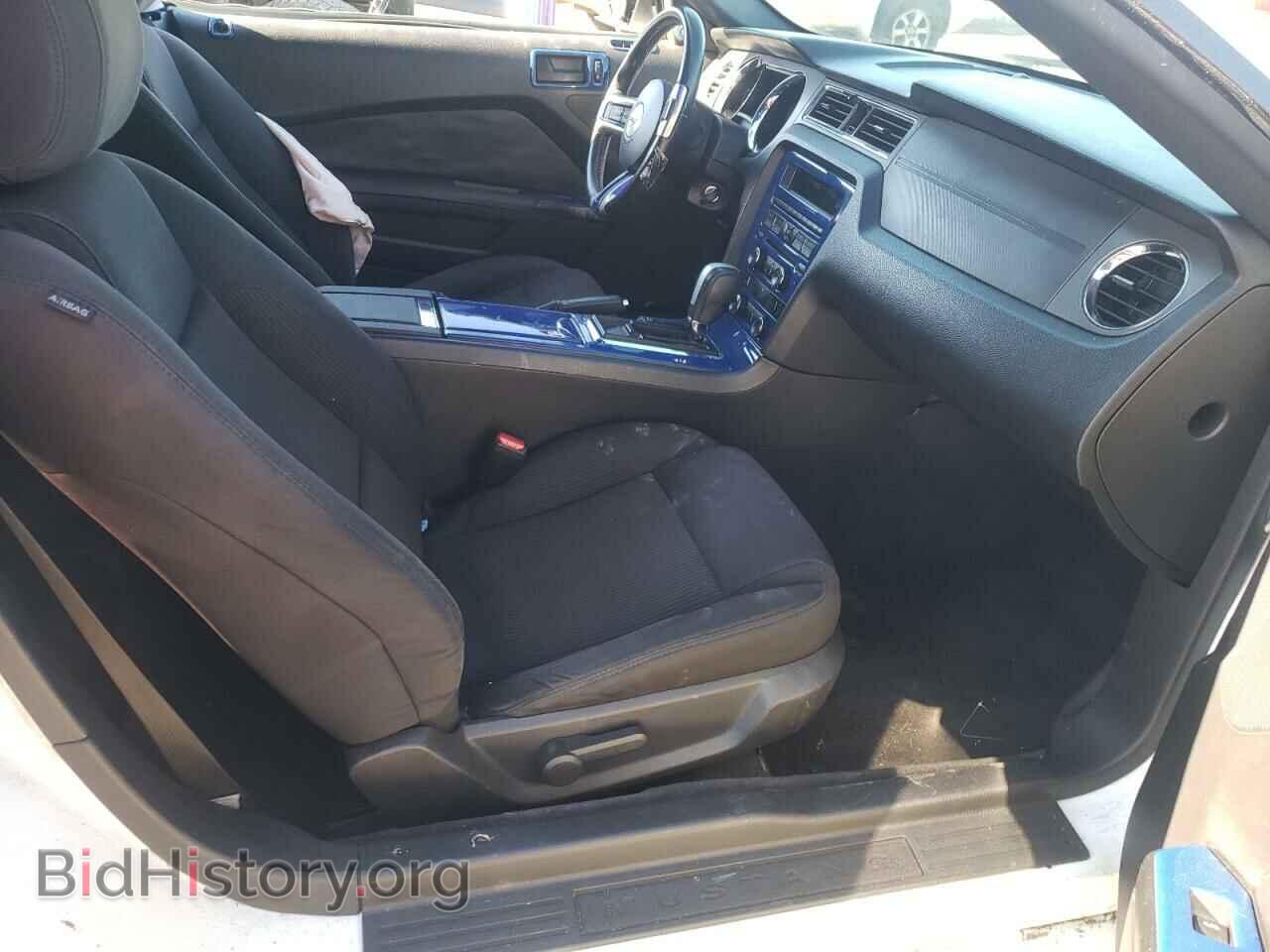 2013 FORD MUSTANG - VIN: 1ZVBP8EM0D5236779 - Фото 5