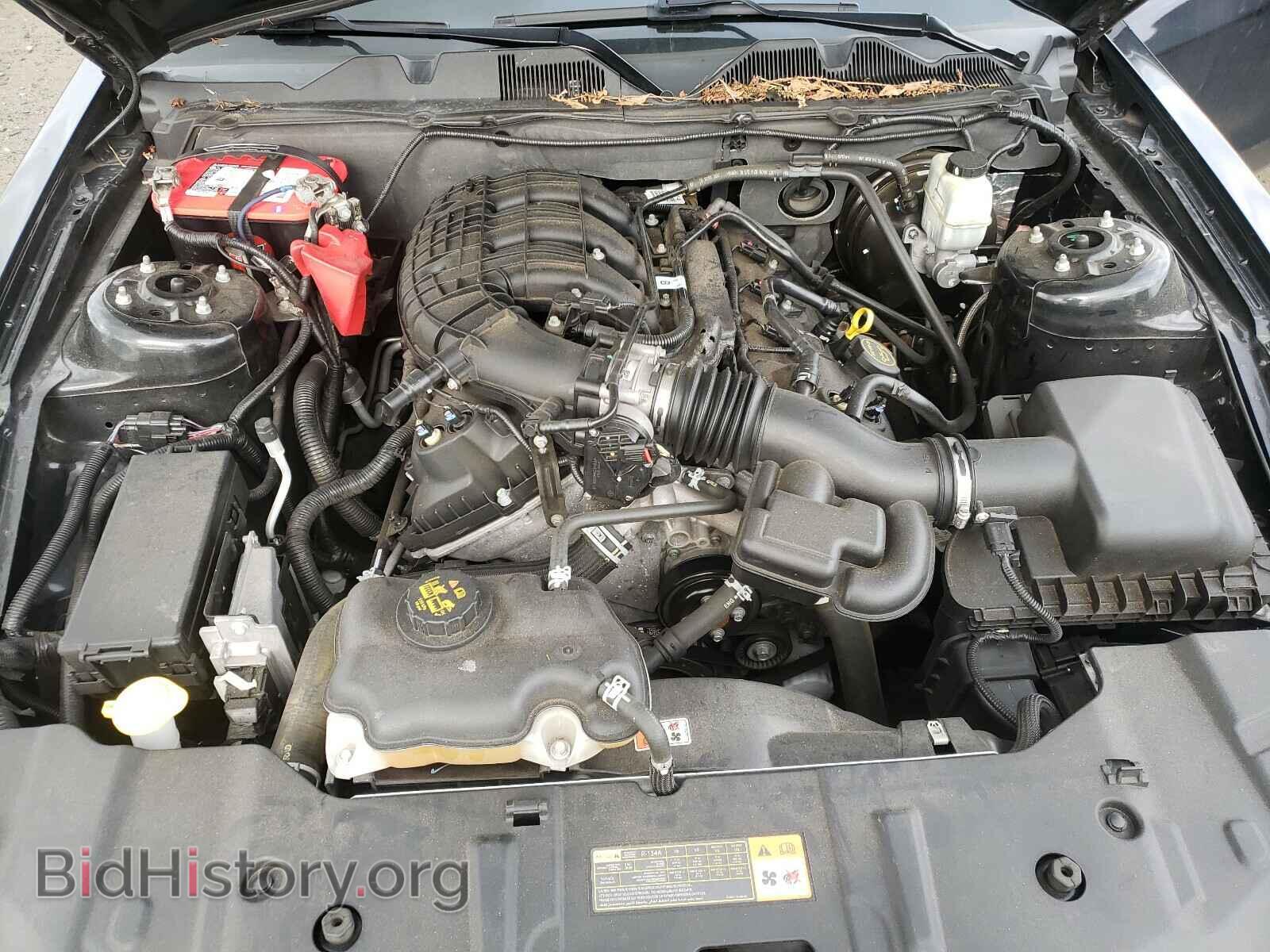 2014 FORD MUSTANG - VIN: 1ZVBP8AM8E5310327 - Фото 7