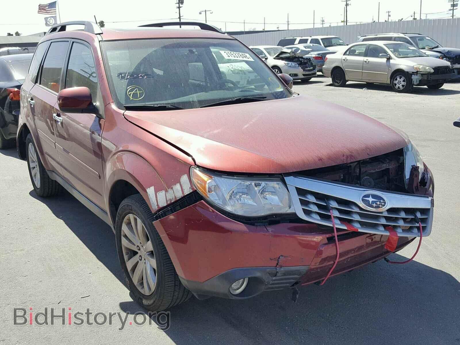 Photo JF2SHAEC5BH778830 - SUBARU FORESTER 2011