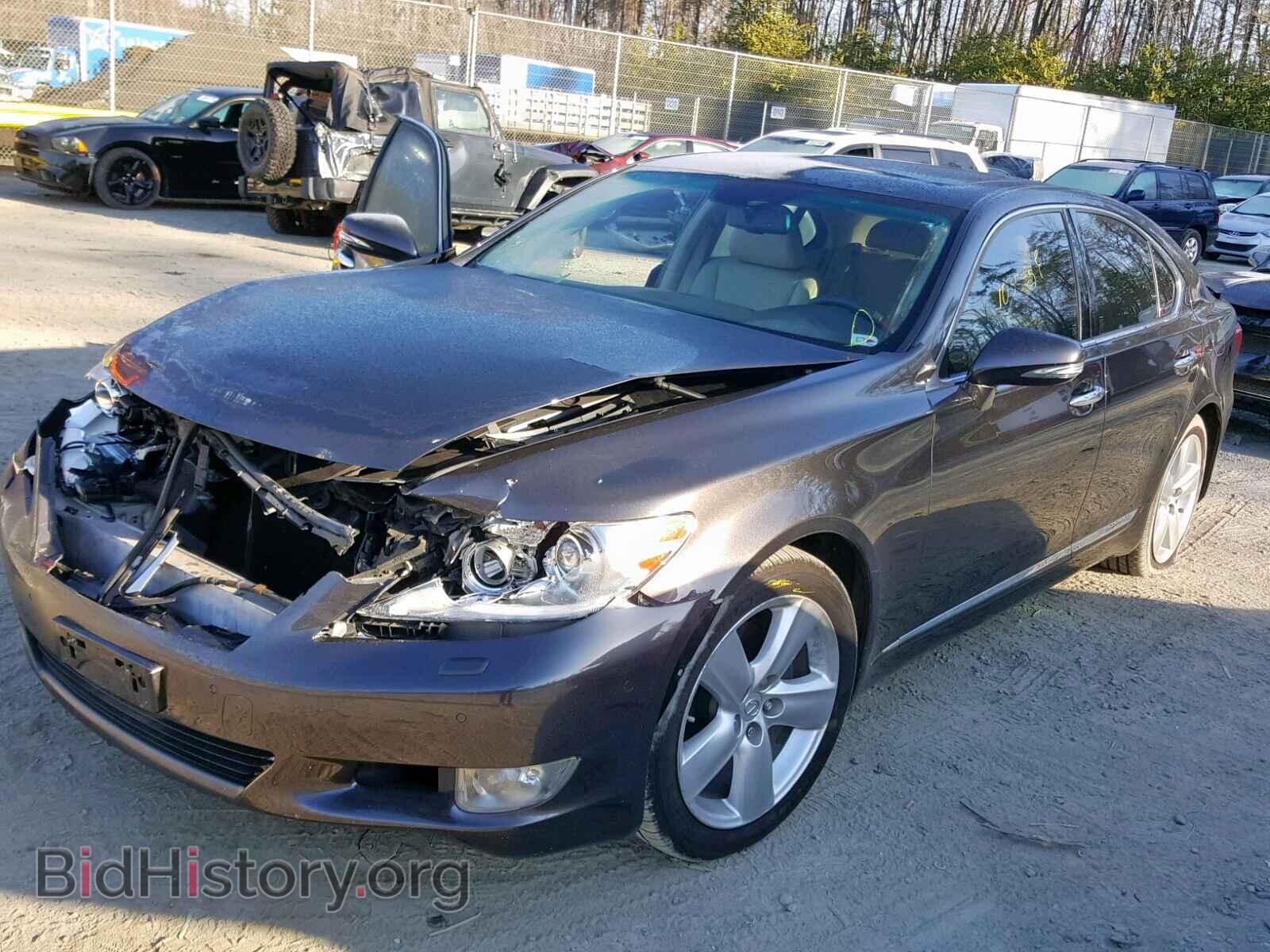 2010 LEXUS LS460 - VIN: JTHBL5EF7A5098764 - Фото 2
