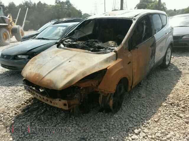 2013 FORD ESCAPE - VIN: 1FMCU0G97DUD63699 - Фото 2