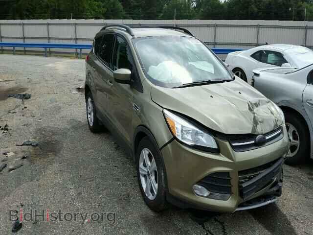 Photo 1FMCU0GX0DUA19713 - FORD ESCAPE 2013