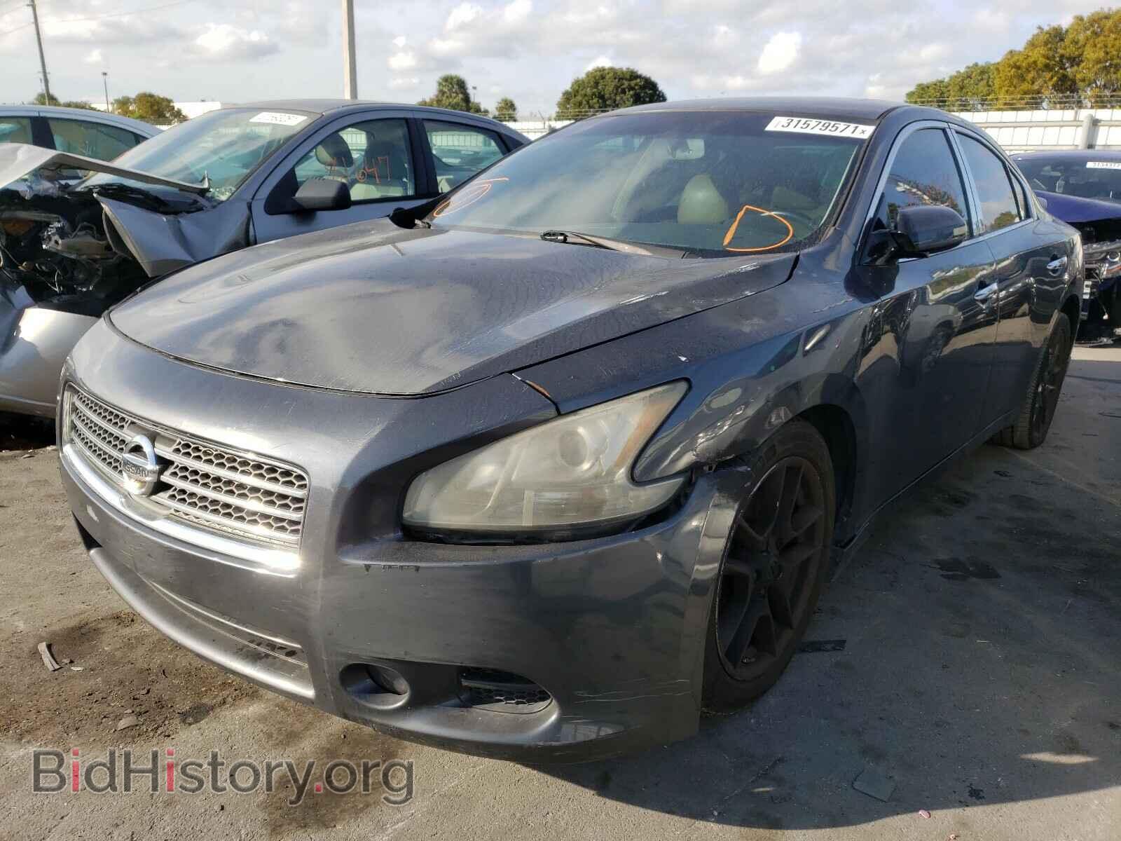 2009 NISSAN MAXIMA - VIN: 1N4AA51E09C812795 - Фото 2