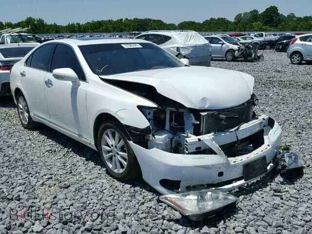 Photo JTHBK1EG9A2375209 - LEXUS ES350 2010