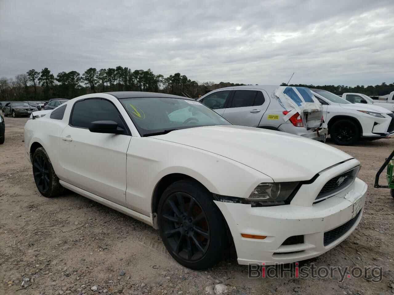 Photo 1ZVBP8AM2D5241942 - FORD MUSTANG 2013