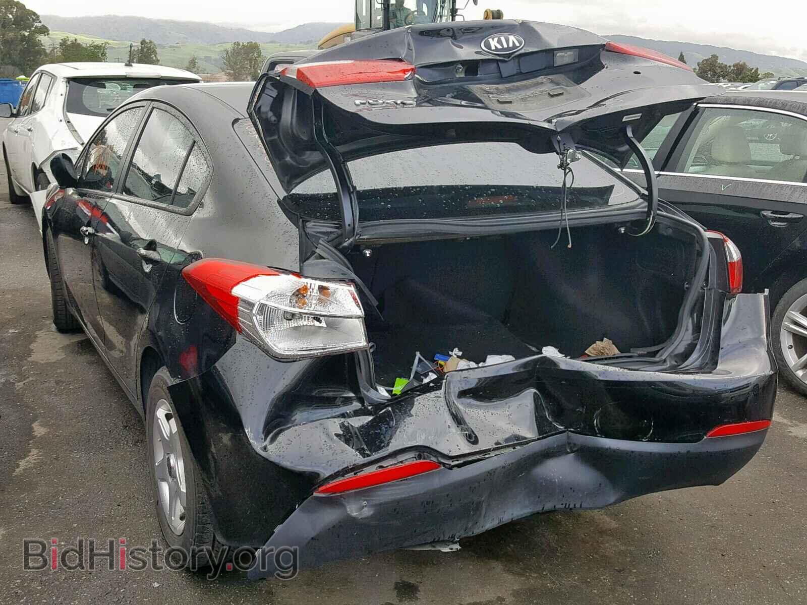2014 KIA FORTE - VIN: KNAFK4A69E5252089 - Фото 3