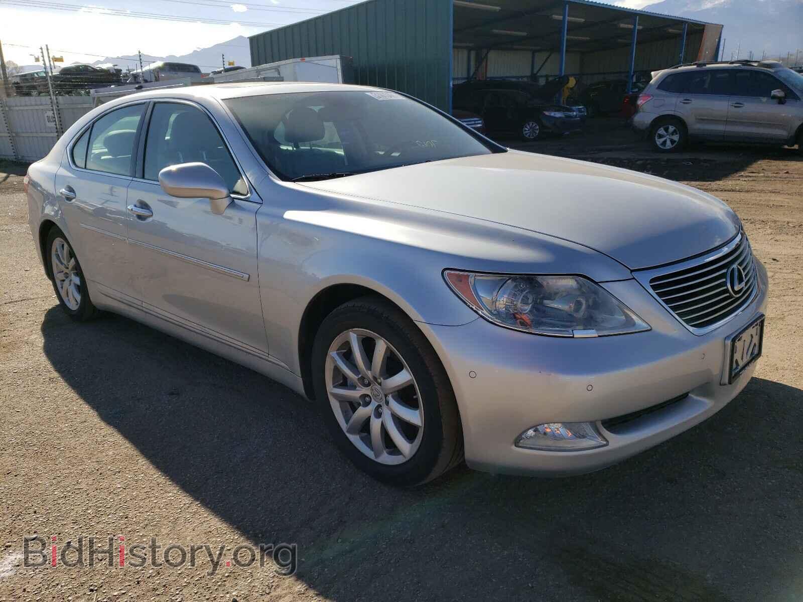 Фотография JTHCL46F095003485 - LEXUS LS460 2009