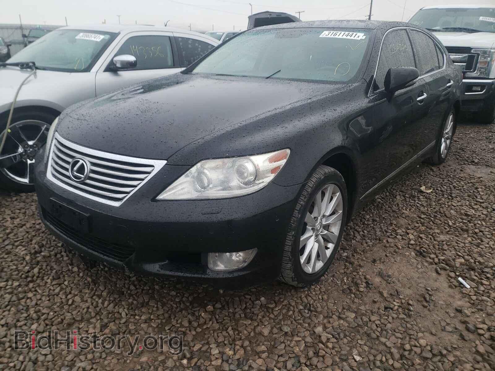 2010 LEXUS LS460 - VIN: JTHCL5EF8A5005593 - Photo 2