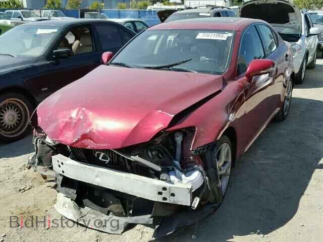 2010 LEXUS IS250 - VIN: JTHBF5C20A5119414 - Фото 2