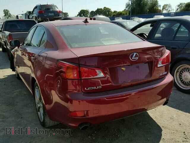 2010 LEXUS IS250 - VIN: JTHBF5C20A5119414 - Фото 3
