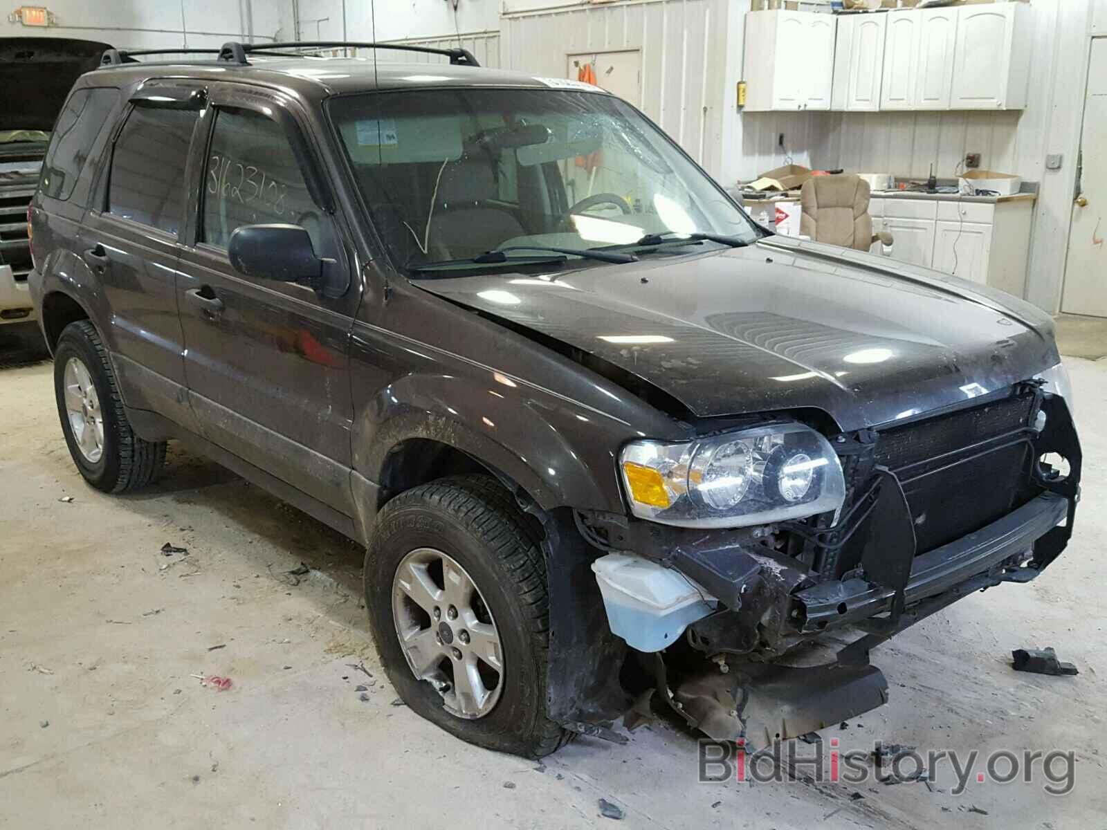 Photo 1FMYU03Z57KB76652 - FORD ESCAPE 2007