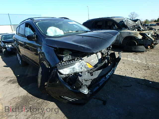 Фотография 1FMCU0GX9EUA99773 - FORD ESCAPE 2014