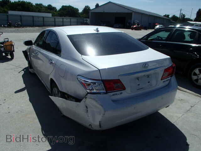 2010 LEXUS ES350 - VIN: JTHBK1EG9A2389515 - Фото 3