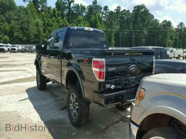 2010 FORD F150 - VIN: 1FTFW1EV5AFD13868 - Фото 3