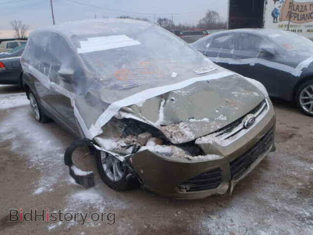 Photo 1FMCU0HX0DUB79119 - FORD ESCAPE 2013