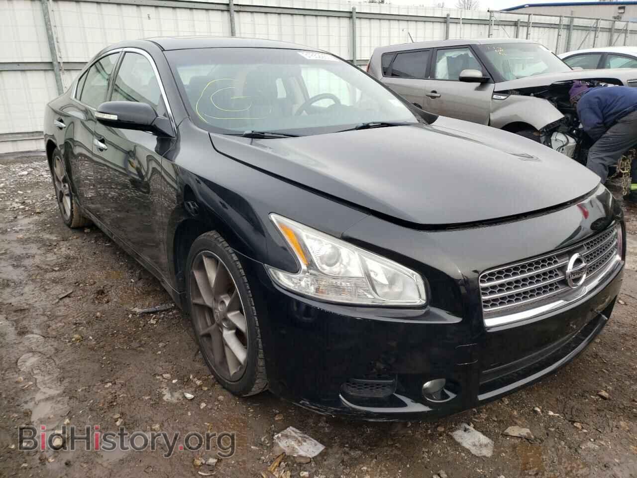 Photo 1N4AA5AP0AC843180 - NISSAN MAXIMA 2010