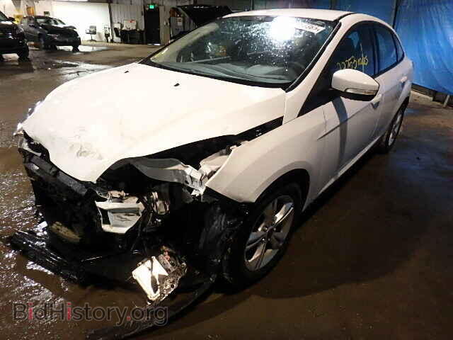 2013 FORD FOCUS - VIN: 1FADP3F24DL295377 - Фото 2