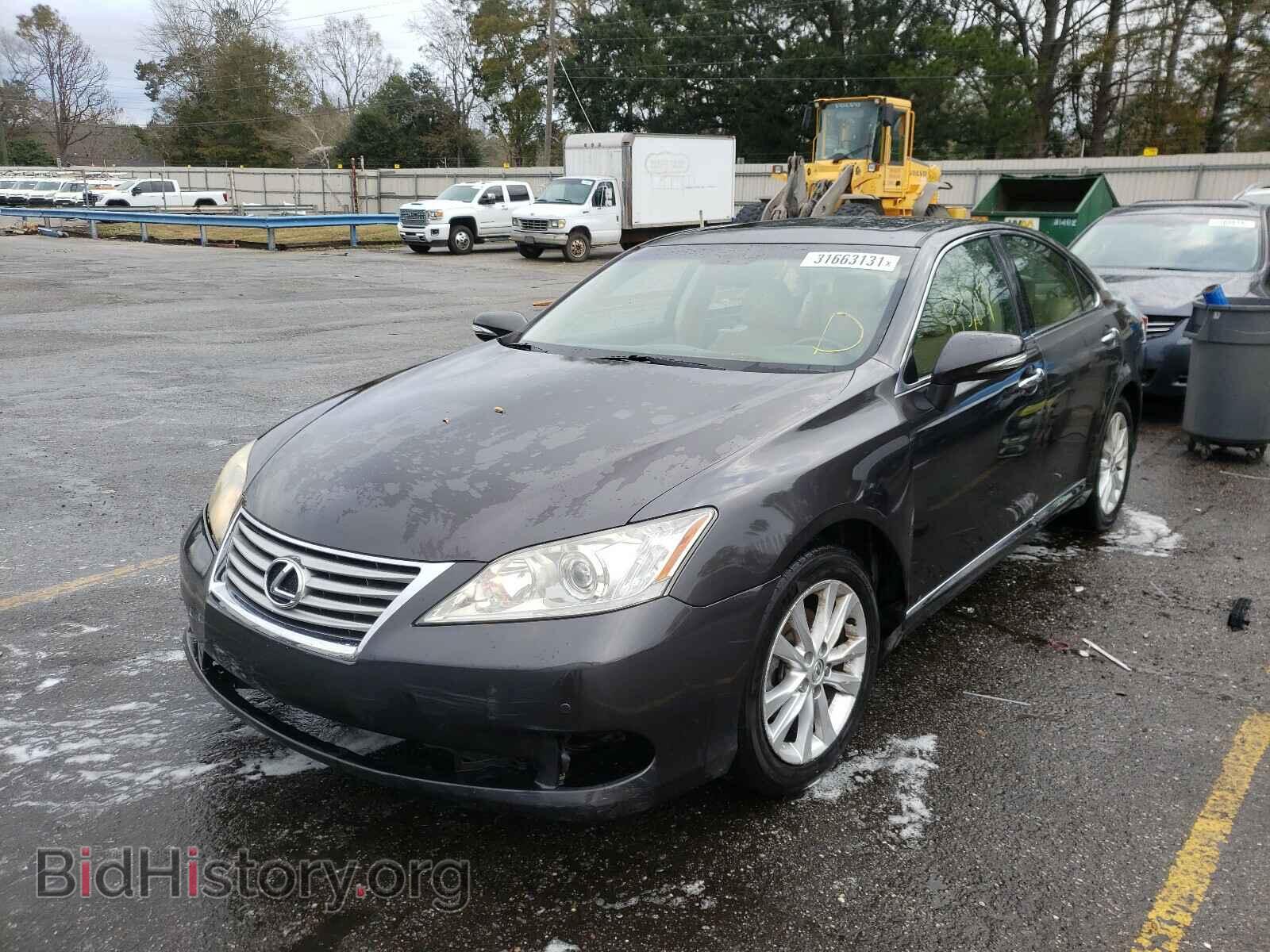 2010 LEXUS ES350 - VIN: JTHBK1EG5A2384599 - Фото 2